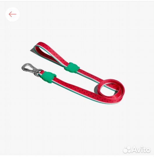 Ошейник и поводок 120 см Lola Zee.dog