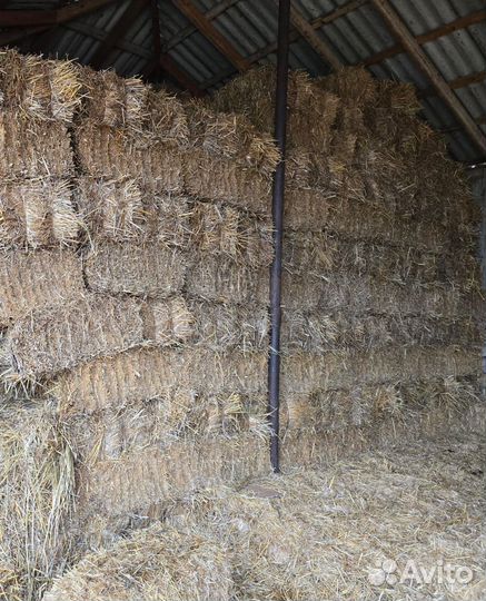 Сено и солома