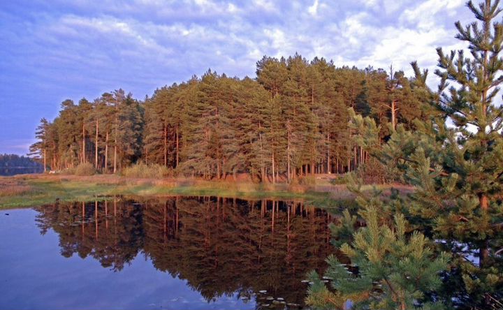 Участок 1,2 га (ИЖС)