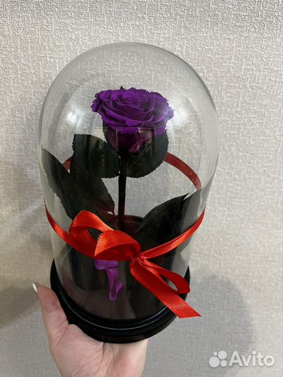 Роза в колбе