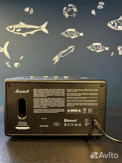 Marshall acton 2