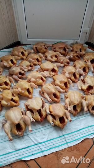 Мясо домашней птицы