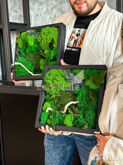 Картина мох + растений 30 см