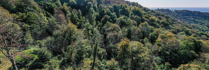 Участок 100 сот. (СНТ, ДНП)