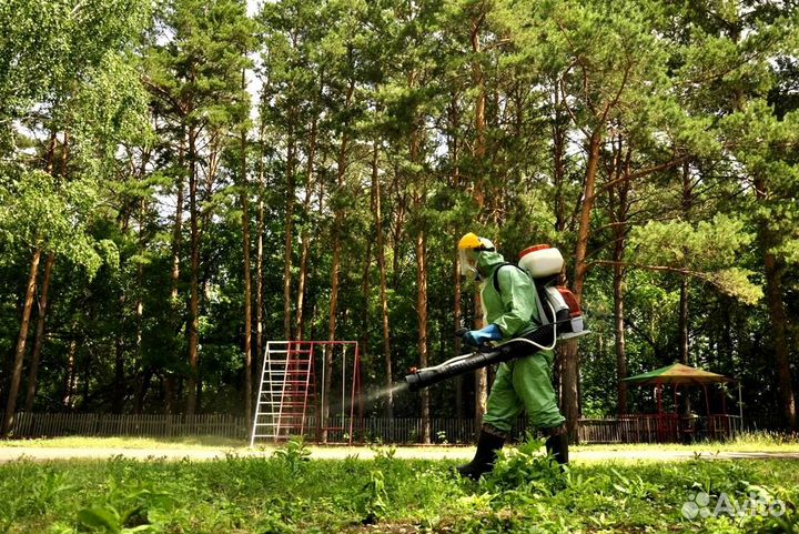 Уничтожение клопов тараканов грызунов грибка плесе