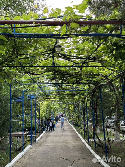 База отдыха уавр 