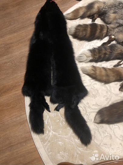 Шкура енота