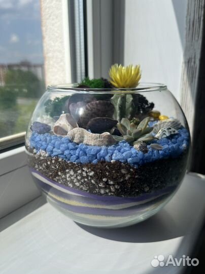 Создание флорариума