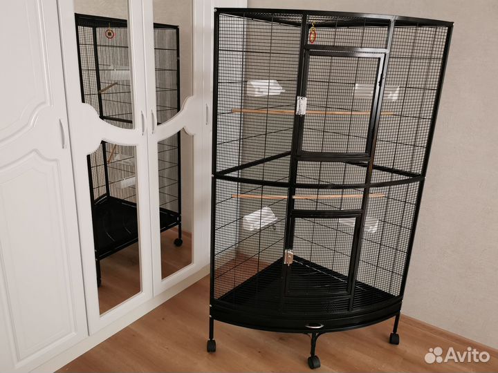 Попугай корелла с клеткой