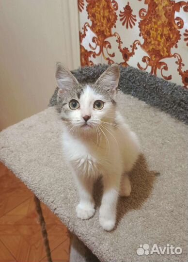 Машуня ищет семью