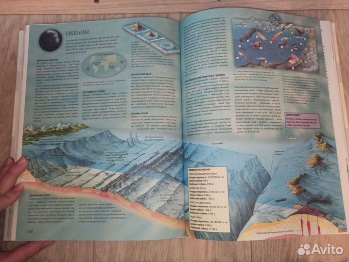 Энциклопедия