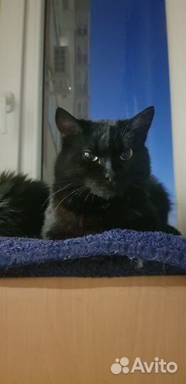 Пожалуйста помогите