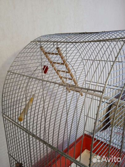 Клетка для птиц