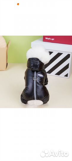 Теплый комбинезон с капюшоном для маленьких собак