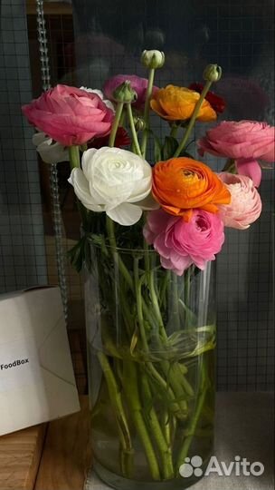 Ранункулюсы