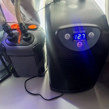 Аксолотль,аквариум с фильтром и чиллером