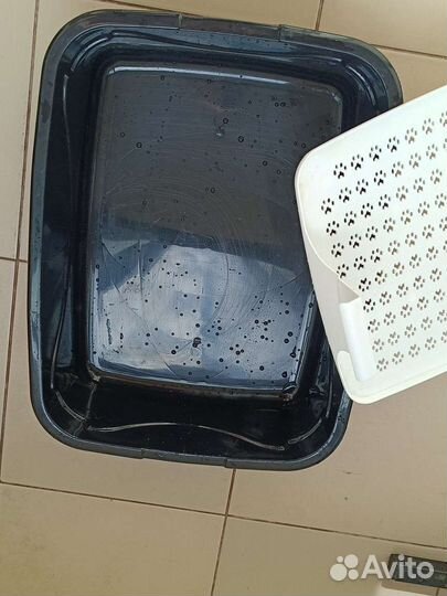 Лоток для кошек