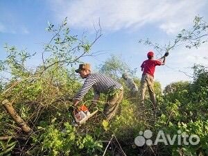 Уборка расчистка участка