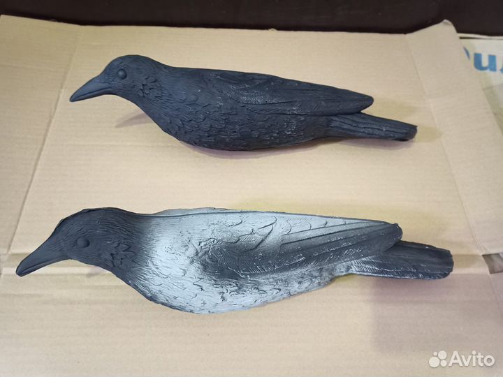 Продам уток