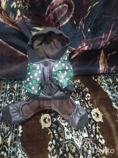 Вещи для собак маленьких пород