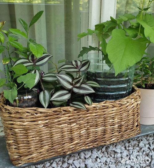 Интерьерные Корзинки