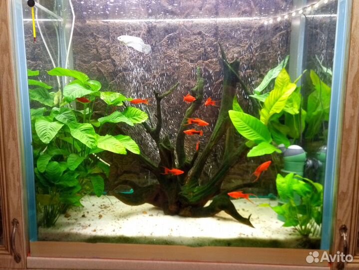 Аквариум - картина антивандальный 400 литров