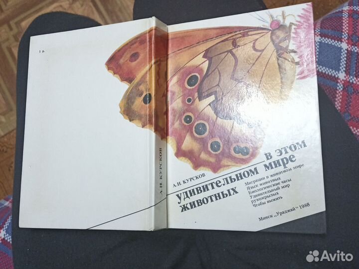 Сказки книга для детей