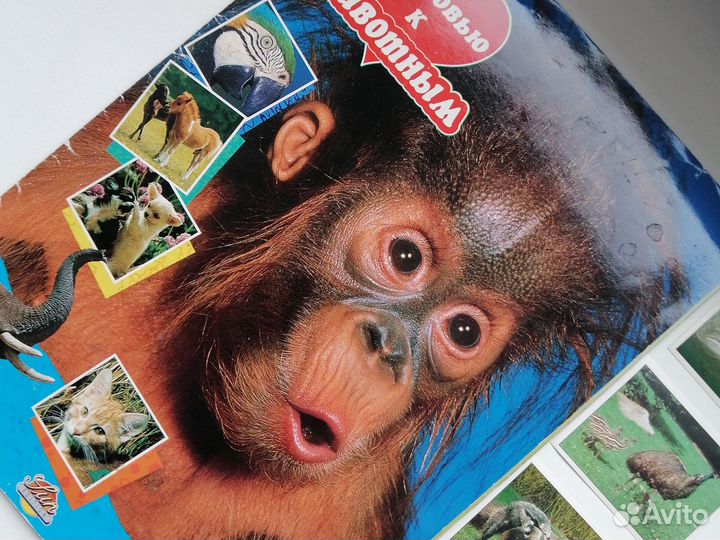 Альбом для наклеек С любовью к животным Panini