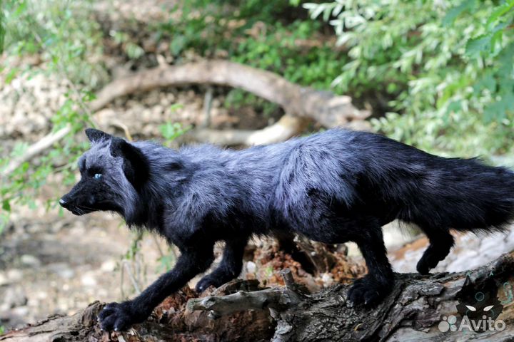 Лиса в реалистике