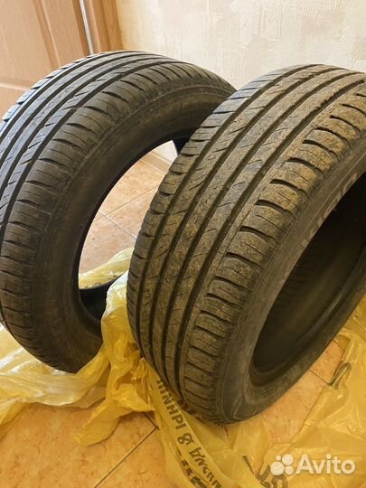 Nokian Tyres Nordman SX2 195/55 R15