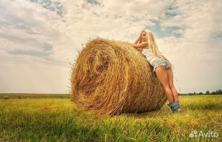 Продам сено в рулонах