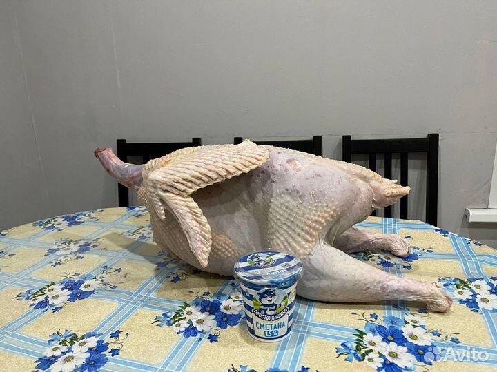 Мясо домашней индейки