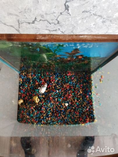 Аквариум