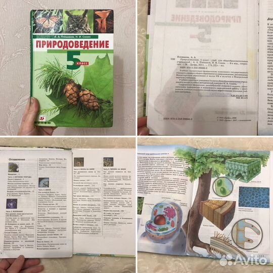 Учебники 5 класс