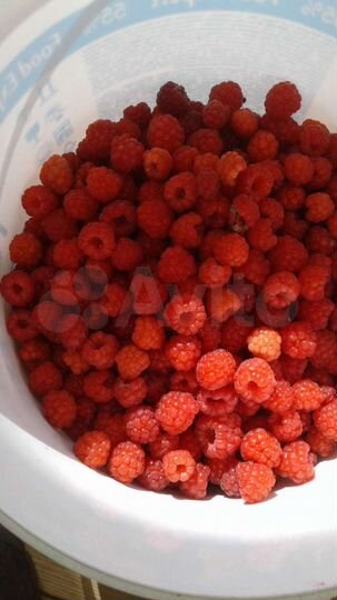 Дача 83 м² на участке 10 сот.