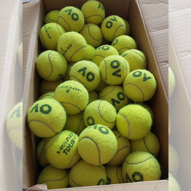 Теннисные мячи dunlop 200 шт