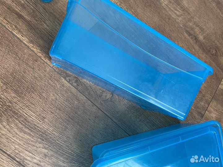 Лоток контейнер пластик