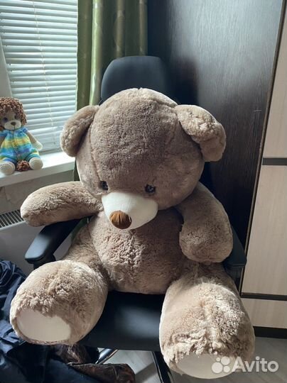Плюшевый медведь