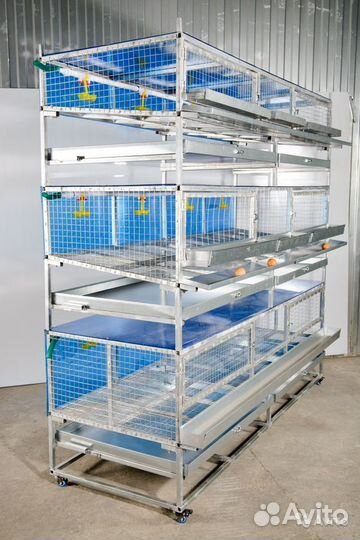 Клетки для кур несушек от производителя