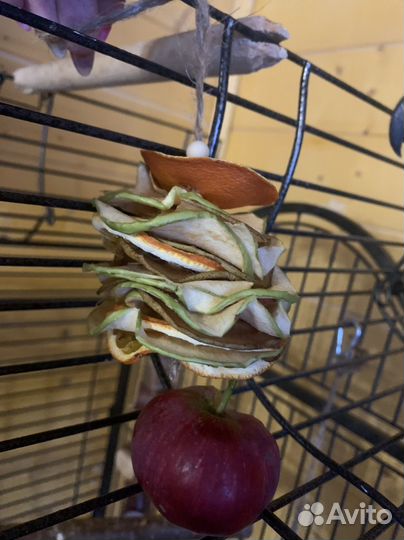 Игрушки для птиц и попугаев