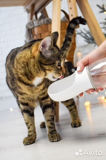 Поилка для кошек