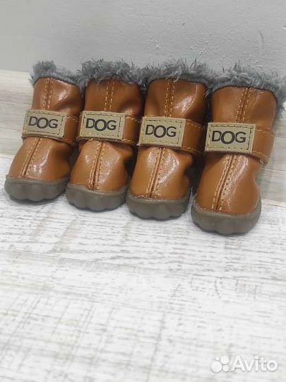 Новые ботинки для мелких пород собак