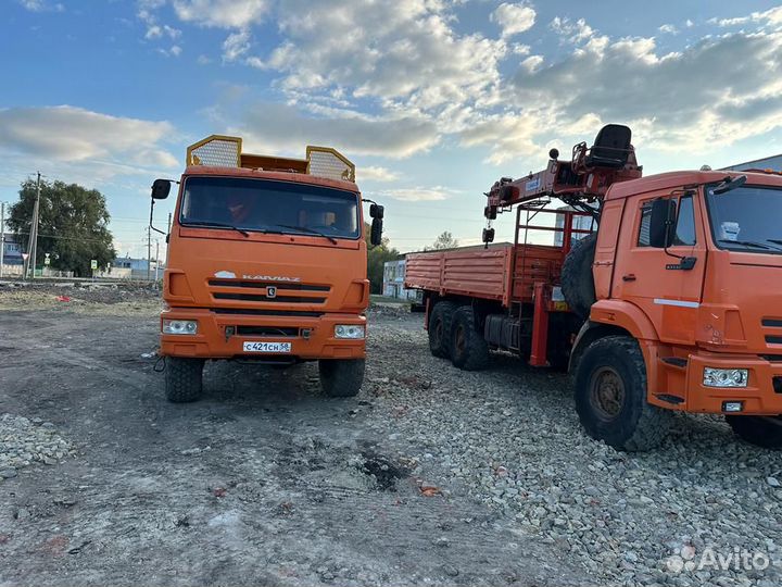 КамАЗ 43118-24, 2013