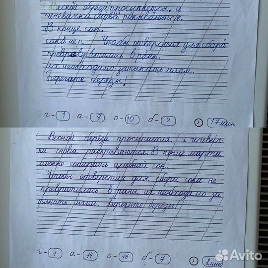 Каллиграфия для детей. Почерк. Чистописание