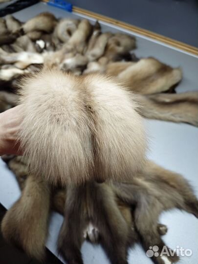 Куница шкуры