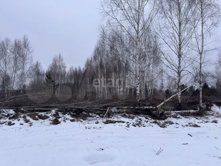 Участок 33 сот. (ИЖС)