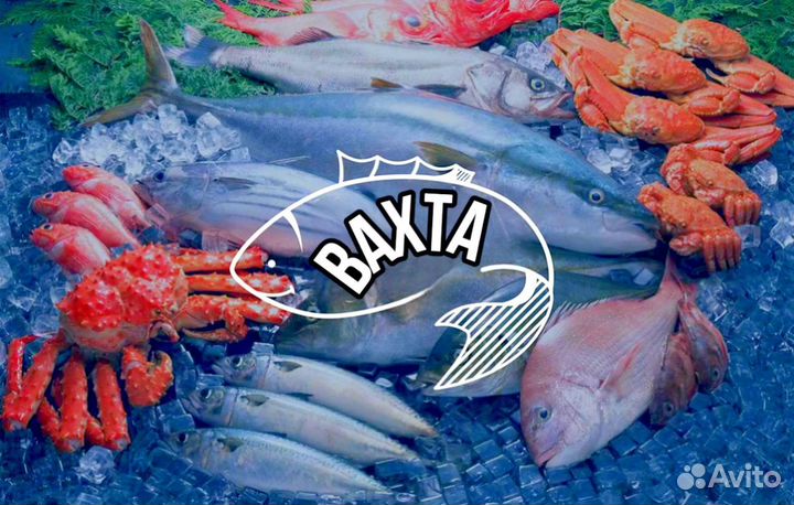 Работа в Москве Укладчик рыбы - Вахта