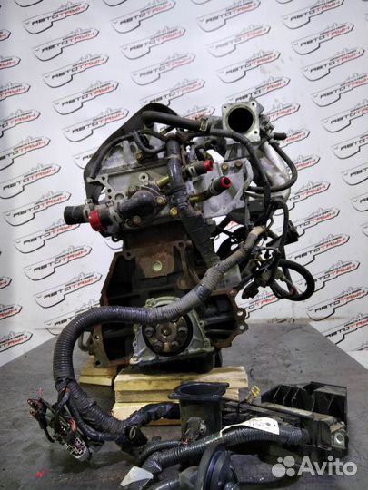 Двигатель nissan mazda QG15-DE AD almera bluebird sylphy familia VAN sunny wingroad bvfy11 FB15 FG10