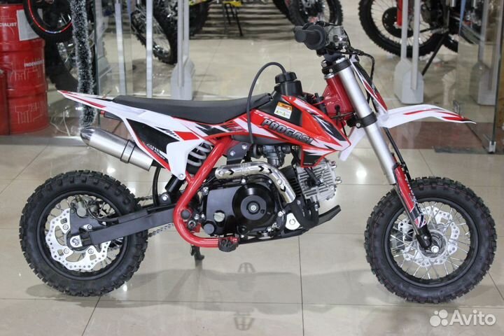 Питбайк Progasi kids power 110 (10/12)