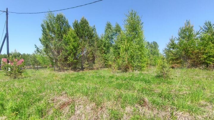 Участок 22 сот. (СНТ, ДНП)